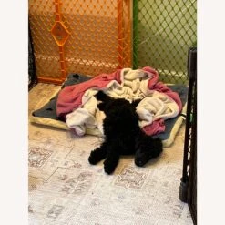 Leather Recliner -Othe Furniture Store 1500 1500 frame 0 1684